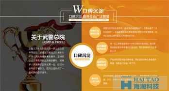 醫(yī)聯(lián)網(wǎng)站運營策劃書 技術推廣服務專項規(guī)劃